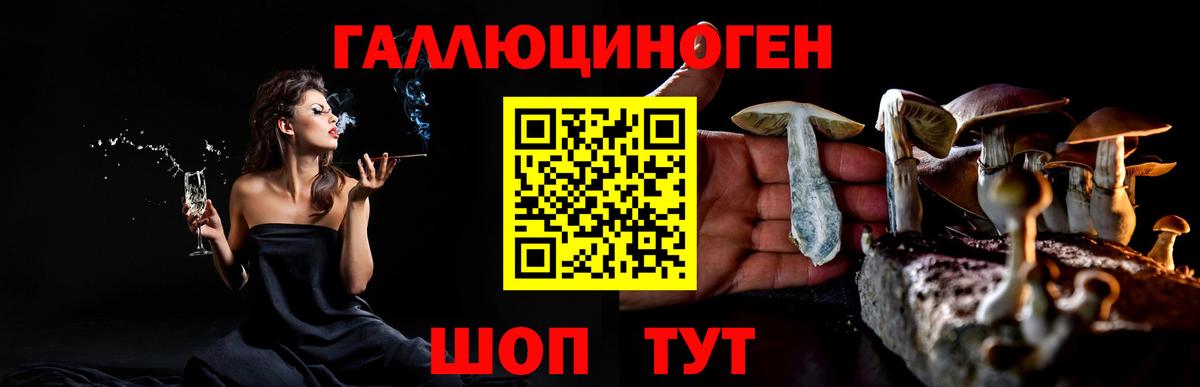 Галлюциногенные грибы прущие грибы  Псилоцибиновые грибы Psilocybe  Якутск  Вход с VPN 